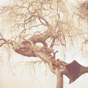 Artwork Title: Closer