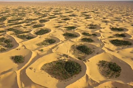 Artwork Title: Adjder Oasis