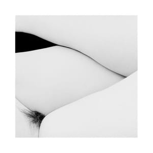 Artwork Title: Untitled