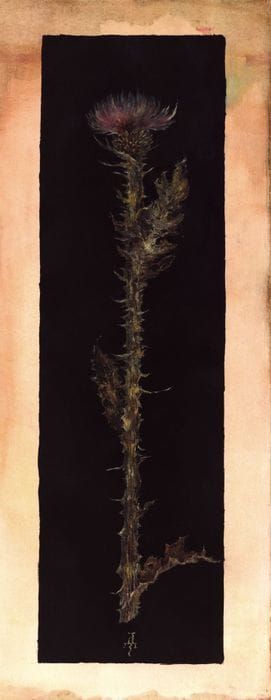 Artwork Title: Thistle (reverse side of Allegory of Martyrdom