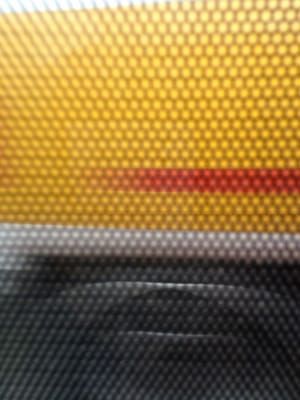 Artwork Title: Shell 2012