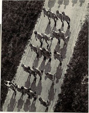 Artwork Title: (Boys Marching on a Road, from Above)