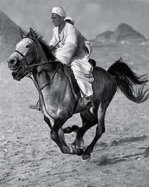 Artwork Title: Bedouin, Egypt