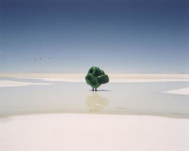 Artwork Title: Untitled