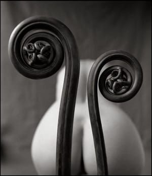 Artwork Title: Untitled