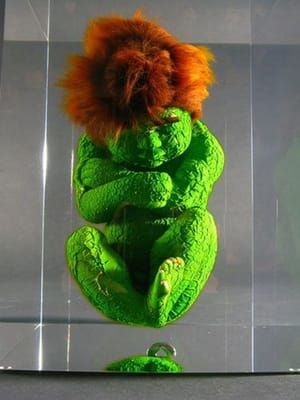 Artwork Title: Hulk foeutus