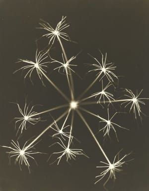 Artwork Title: Fireworks, photogram