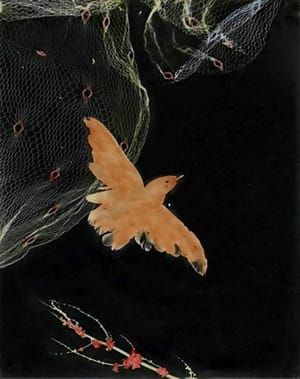 Artwork Title: Bird, Photogram