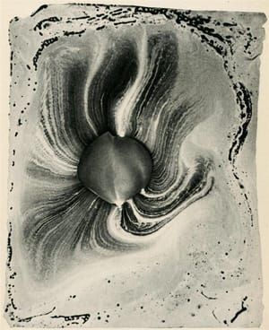 Artwork Title: Photograph of the Scent Given Off by a Rose Petal