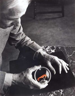 Artwork Title: Max Ernst and the Seahorse, New York
