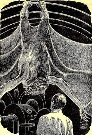 Artwork Title: Untitled