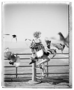 Artwork Title: Untitled