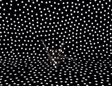 Artwork Title: Danielle Acoff (Black Dots)