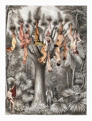 Artwork Title: Untitled