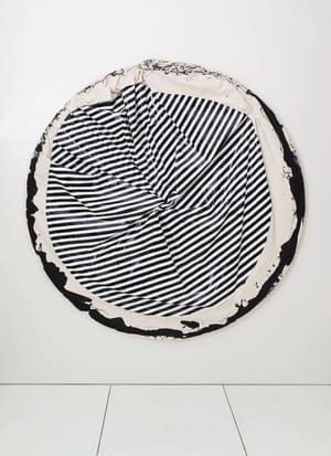 Artwork Title: Skeletal Implosion # 4