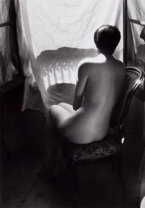 Artwork Title: Untitled