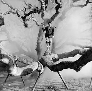 Artwork Title: Untitled