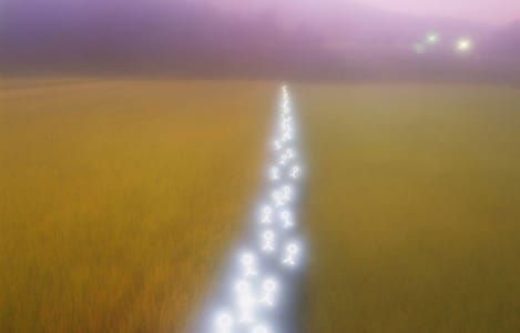 Artwork Title: Untitled