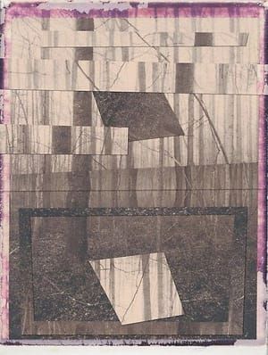Artwork Title: Woods
