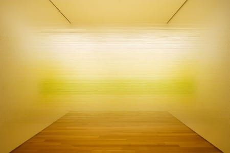 Artwork Title: Raume Yellow