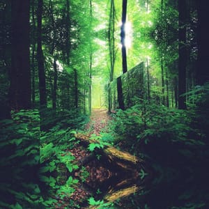 Artwork Title: Untitled