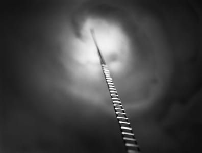 Artwork Title: Ladder