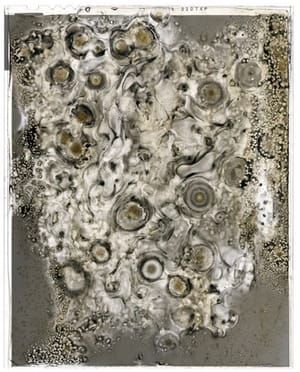 Artwork Title: Untitled