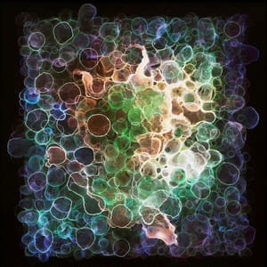 Artwork Title: Untitled