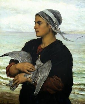 Artwork Title: The Wounded Sea Gull