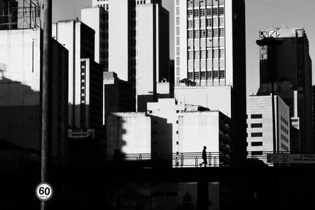 Artwork Title: Concrete Jungle