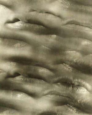 Artwork Title: Untitled