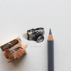 Artwork Title: 365 Postcards for Ants