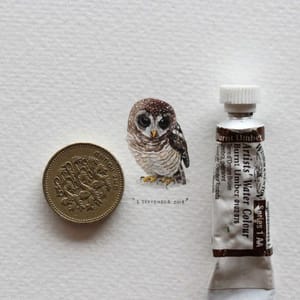 Artwork Title: 365 Postcards for Ants