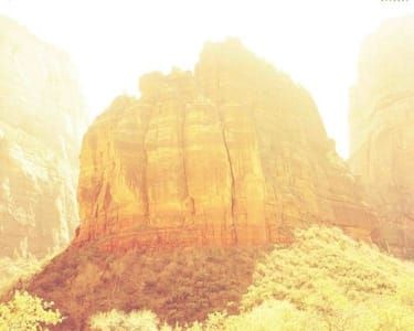 Artwork Title: Soaring Yellow Morning Breath
