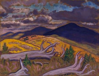 Artwork Title: Burnt Region