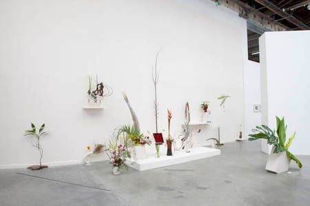 Artwork Title: Is it possible to be a revolutionary and like flowers?