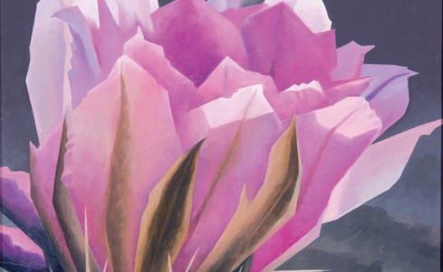 Artwork Title: Cactus Flower