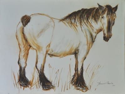 Artwork Title: Pregnant Mare