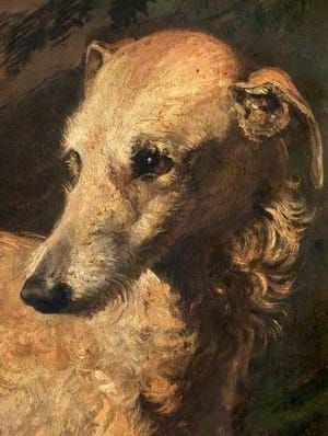 Artwork Title: Head of 'Driver', a Deerhound Owned by the 5th Duke of Gordon