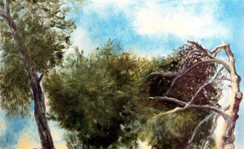 Artwork Title: Wind in the Pines