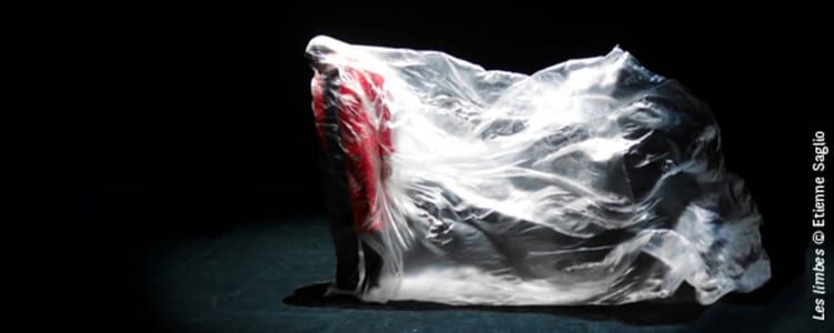 Artwork Title: Shutting Up Through Plastic Wind