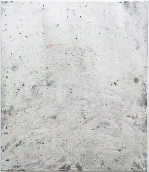 Artwork Title: Sunyata
