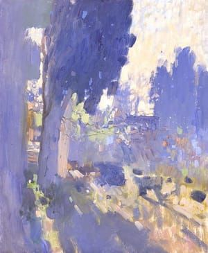 Artwork Title: Cypress Morning