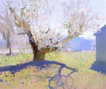 Artwork Title: Tver Region, Russia,