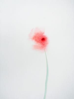 Artwork Title: Ohne titel