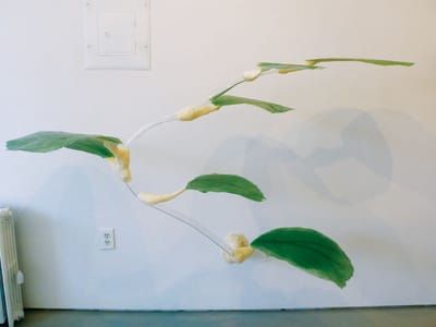 Artwork Title: Kurvig
