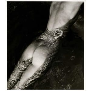 Artwork Title: Nude