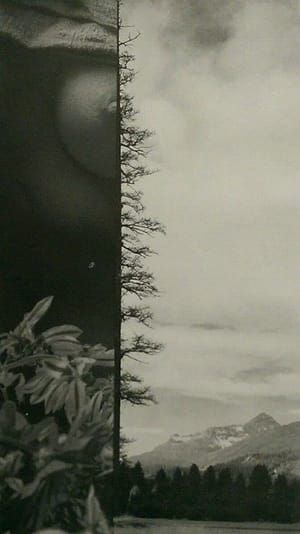Artwork Title: Tree of Life