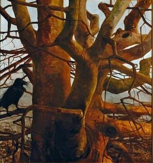 Artwork Title: Plane Tree in Groenestein Park,  Groningen