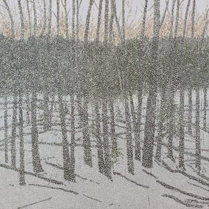 Artwork Title: Last Sun and Snow